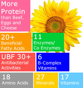 pollen, more protein than beef eggs and cheese